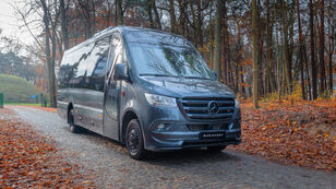 новый экскурсионный автобус MERCEDES-BENZ Sprinter 519